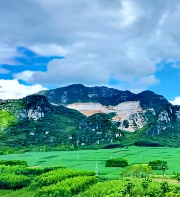 简慢慢成为一种常态你能接受吗？尊龙凯时APP人死如灯灭丧事从(图1)