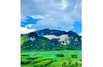 简慢慢成为一种常态你能接受吗？尊龙凯时A